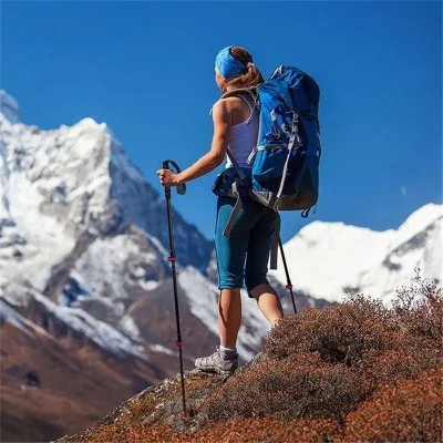 Naturehike ST10 Ultra Light Carbon Fiber Lock Trekking Pole - Fiery Red (54-120CM)